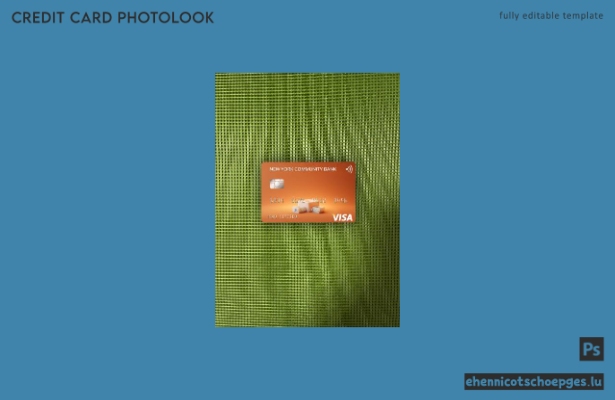 USA New York Community Bank Visa-Karte Fotoansicht Beispielvorschau